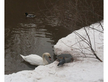 ����� IMG_9539.JPG