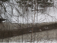 ����� IMG_9542.JPG