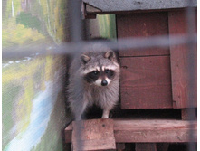 ����� IMG_9563.JPG