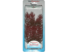 ����� �������� RED FOXTAIL  05132.png