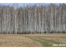 � ��� ��� �� ����.