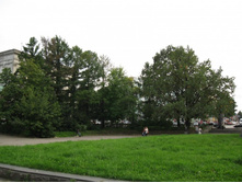 ����� ������� ���� ������