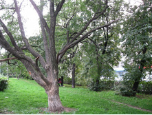 ��������� ������