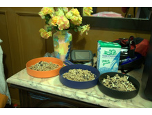 �������