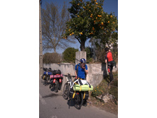 �������� �������� �� ����