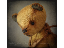 Henry_Teddy_bear_6.JPG
