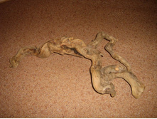 ������ ������ 65 ��