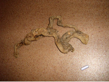 ����� �������. ����� �� ������ �������.