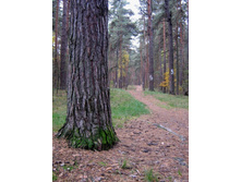 � � ����� ���� ��� �����!! ���������� ��� �������� ����� � ������ ����� ���� ))