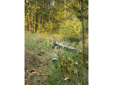 � ������... ������ ������ �������.jpg