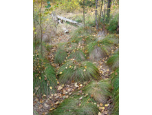 � ����� ����� �����))).jpg