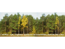 �������!