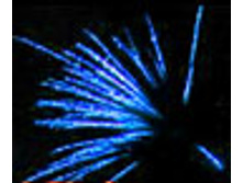 ��������� ������.jpg