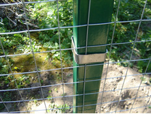 2012_08_03_006.jpg