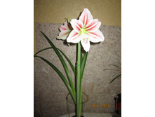 �����������.