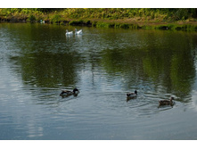 26 �������� ������� (������ ������)