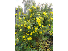 ����,������ ������)).JPG