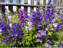 ����������� ������� � �������.JPG