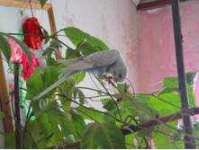 ������ ����������.JPG