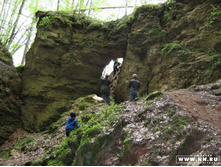 ������ ����������. ����