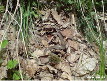 �������?