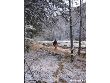 ������ �� ����