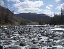 ��� �������