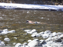 ��� ���� ������� ����� ))