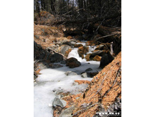 � ���������� ������ ����� ��ޣ� ����� )