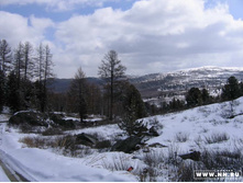 � ������ ��������