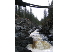 *������ ����*