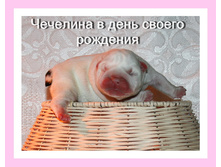 3 ������� 019.jpg