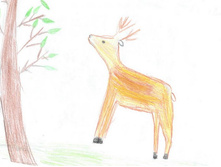 ������� ������� 