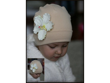 ������ � �������.jpg