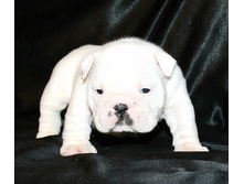 ��� ����� 074.jpg