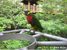 ����� � ����������