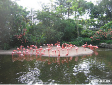 ������� ��������