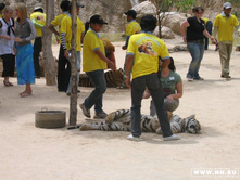 ���� ������