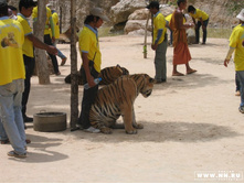 ���� ������