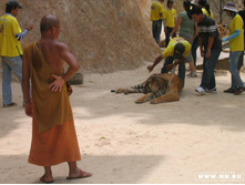 ���� ������