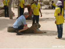 ���� ������