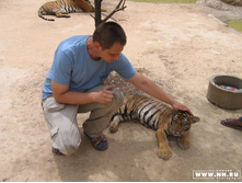 ���� ������