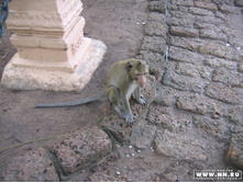 �������� �� �����