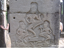 ������ ���