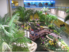 ������ ���