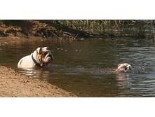 ��������� 9 ��� 054.jpg