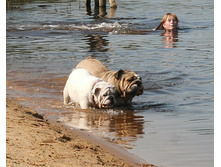 ��������� 9 ��� 059.jpg