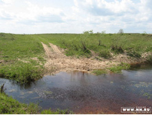 ���� ��� ����� �������