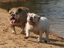 ��������� 9 ��� 070.jpg