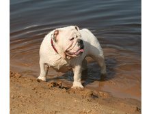 ��������� 9 ��� 112.jpg